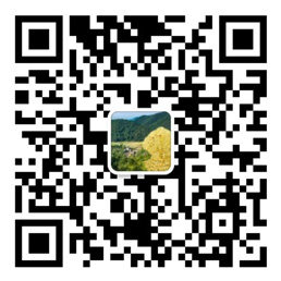 网信彩票登录首页大厅